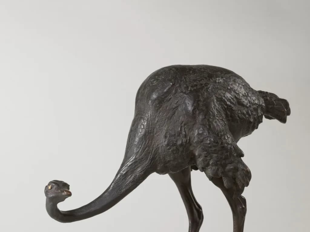Proud Ostrich and Angry Tiger
